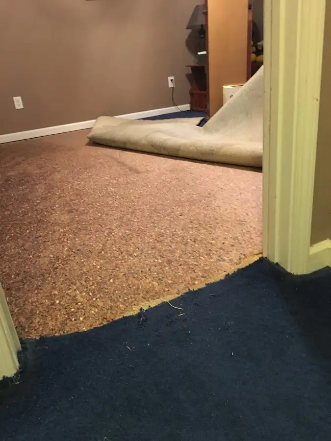 Carpet pad removal revealing water damage during Drying & Dehumidification in Marlene Village