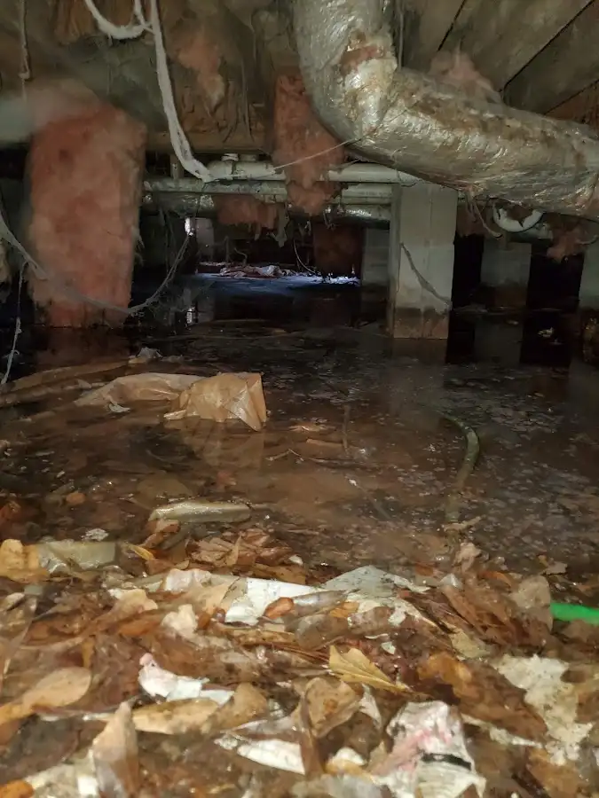 Crawl space flood assessment for Commercial Water Damage Restoration in Marlene Village